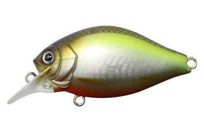 G.C. Shallow Crank 40SR - ISSEI