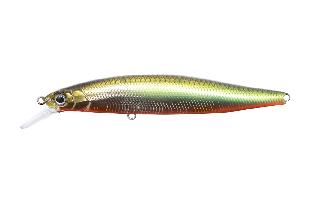 G.C. Minnow 89 SR-SP - ISSEI