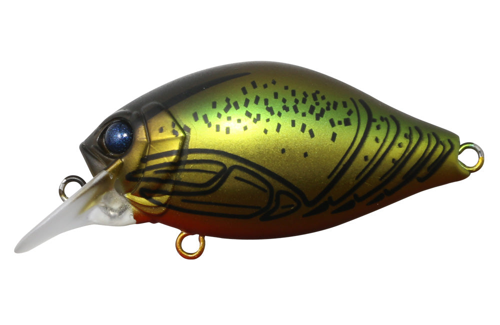 G.C. Shallow Crank 40SR - ISSEI