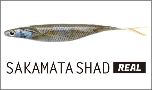 SAKAMATA SHAD REAL 6.0inch - deps