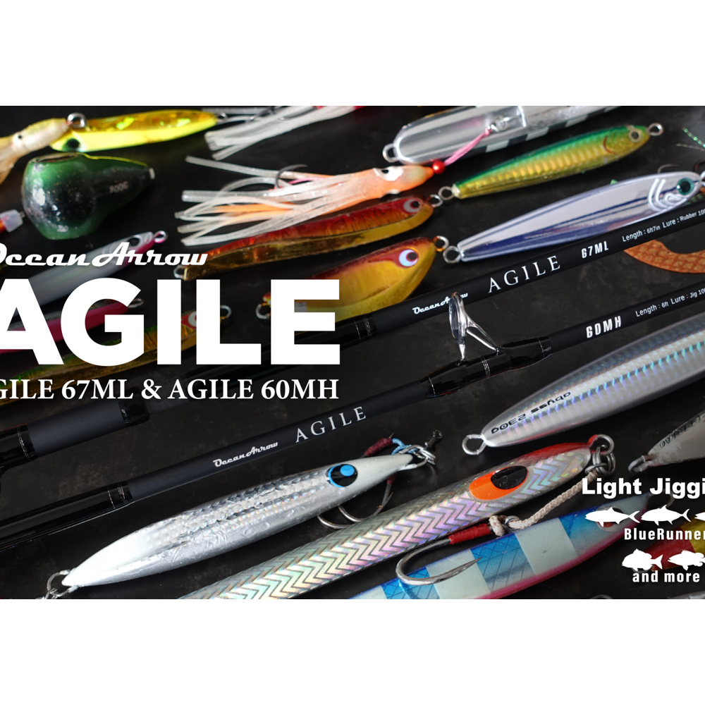 AGILE - Ripple Fisher