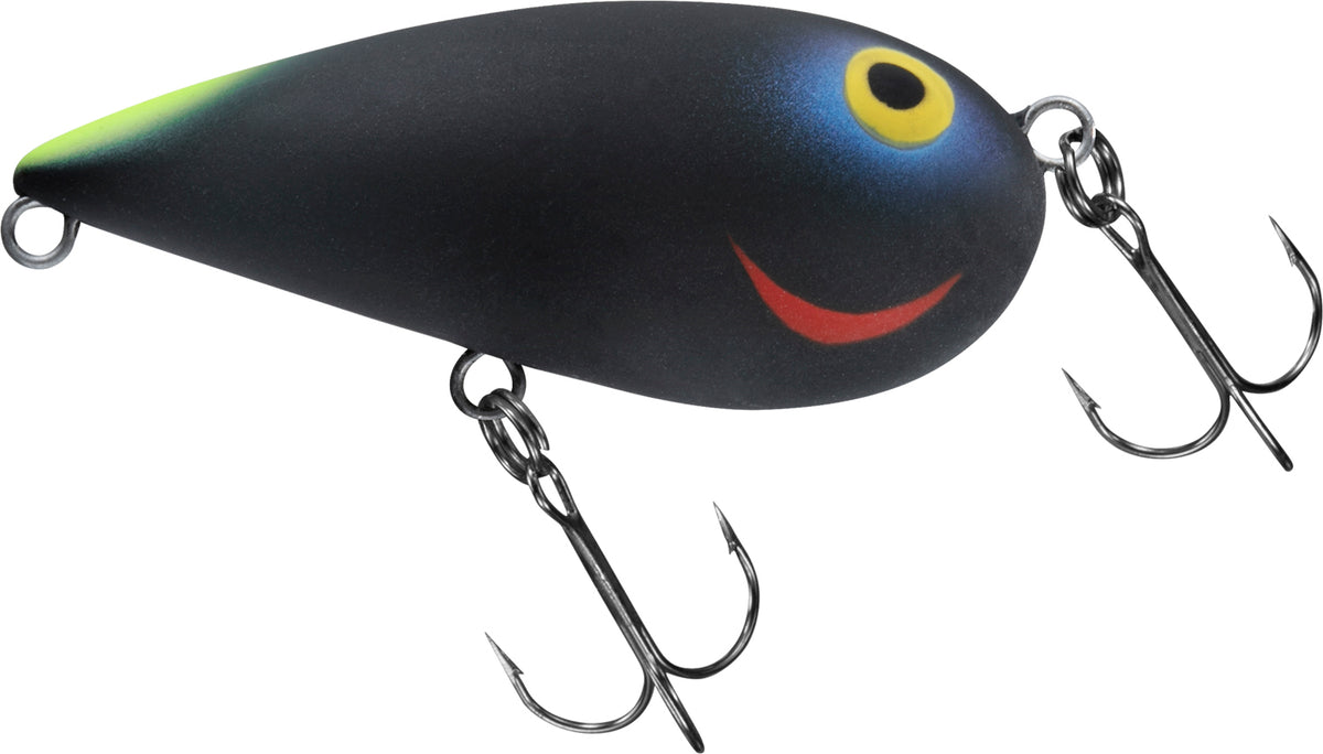 ALMOND - DAIWA