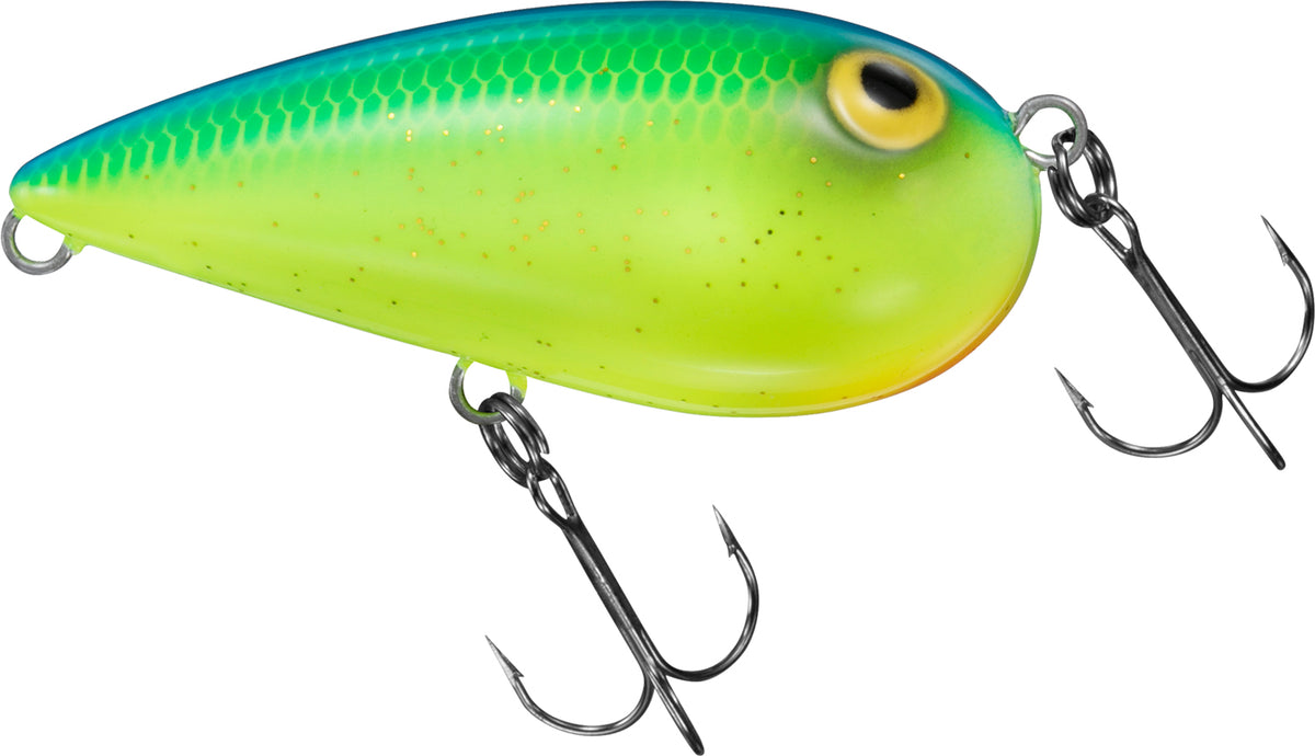 ALMOND - DAIWA