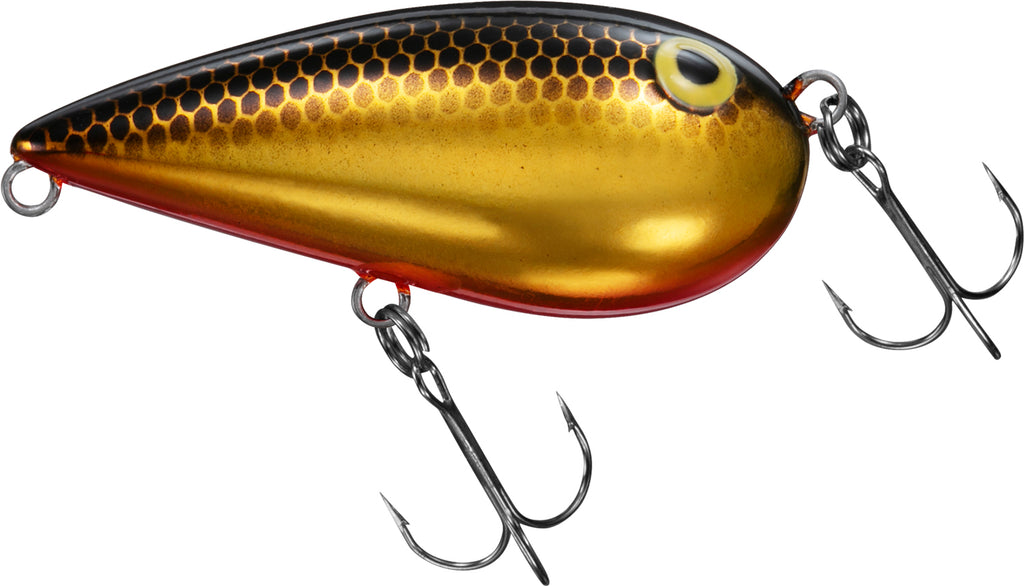 ALMOND - DAIWA