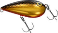 ALMOND - DAIWA