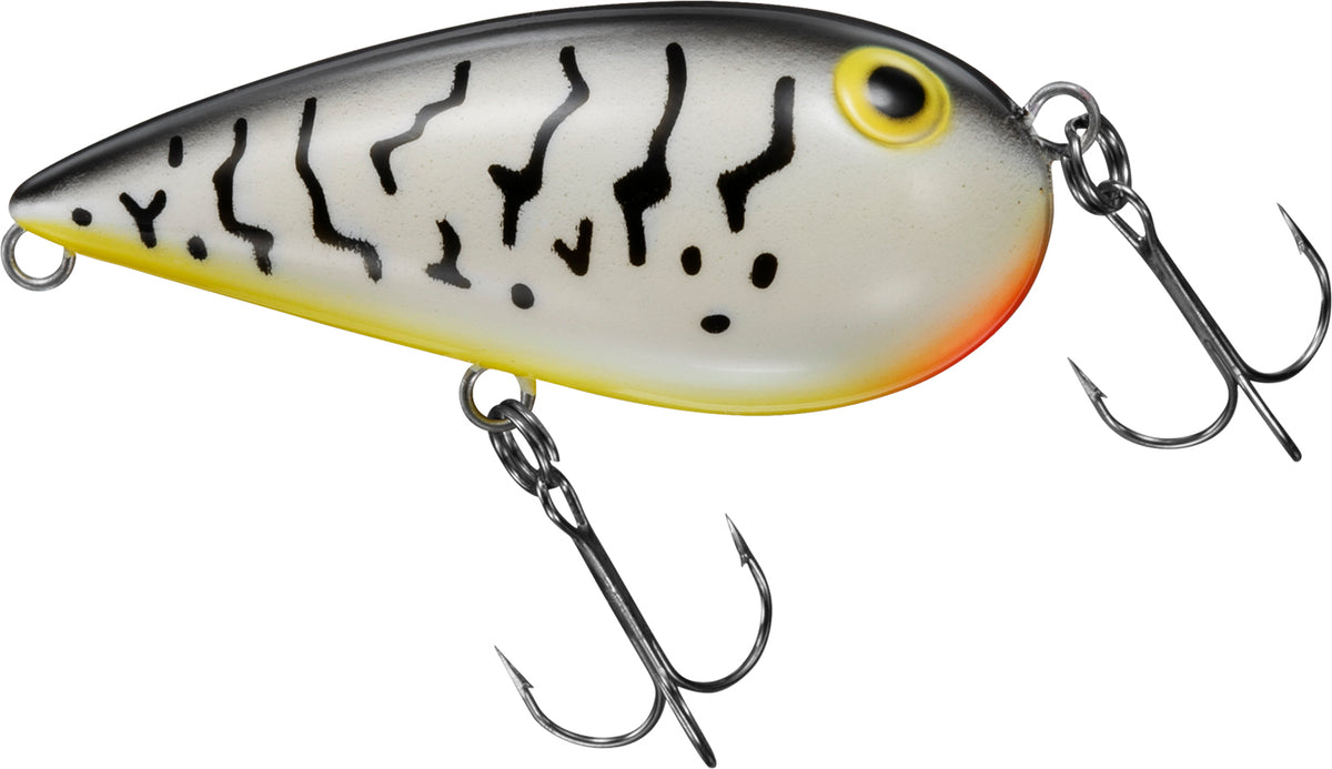 ALMOND - DAIWA