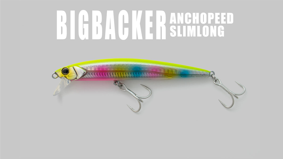 BIGBACKER ANCHOPEED SL - JACKALL