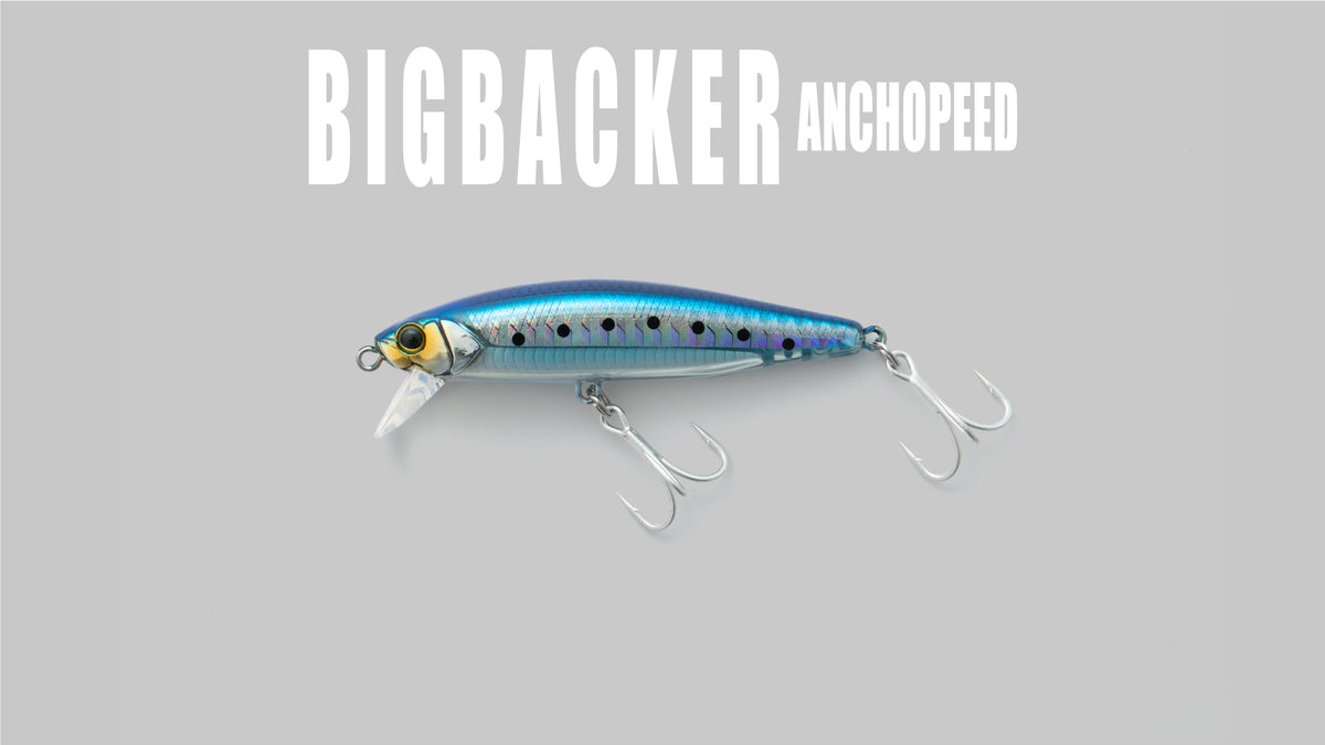 BIGBACKER ANCHOPEED - JACKALL