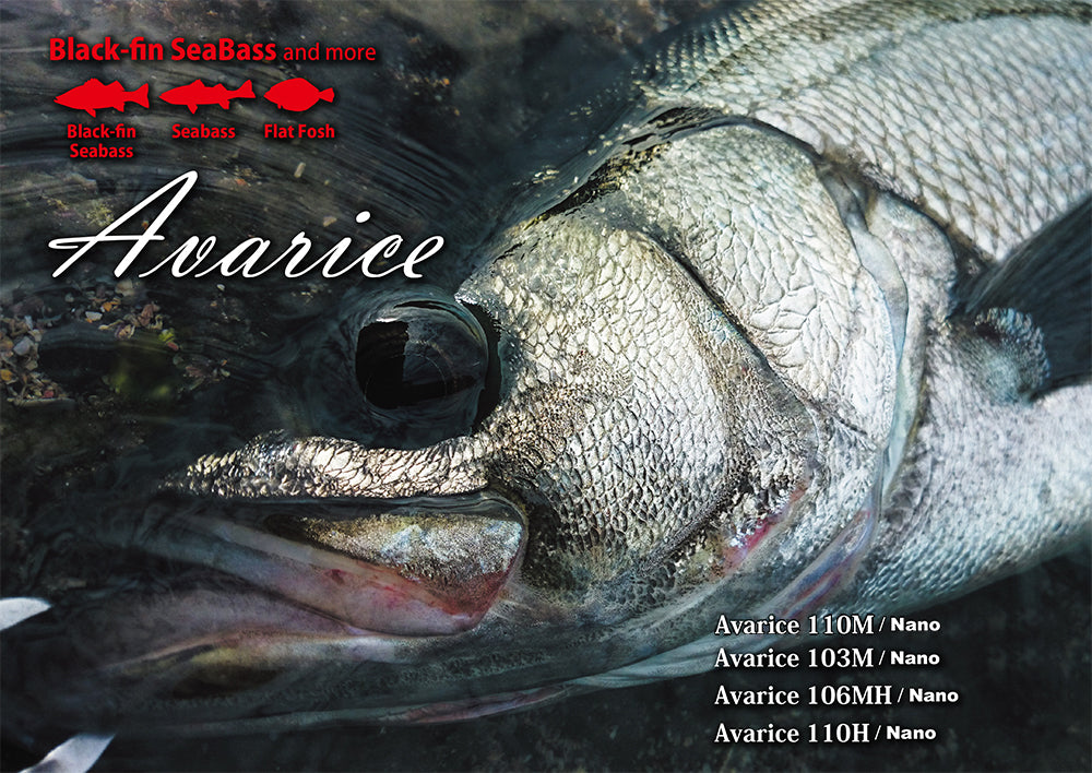 Avarice Black fin Seabass - Ripple Fisher