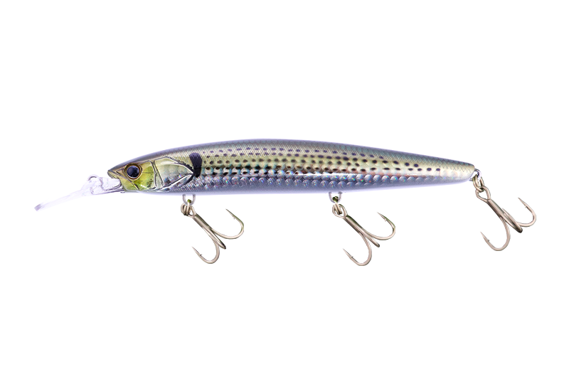 BIGBACKER WANGAN MINNOW - JACKALL