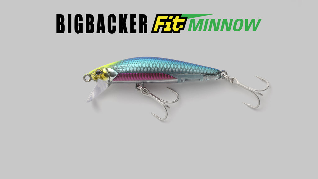 BIGBACKER Fit MINNOW - JACKALL
