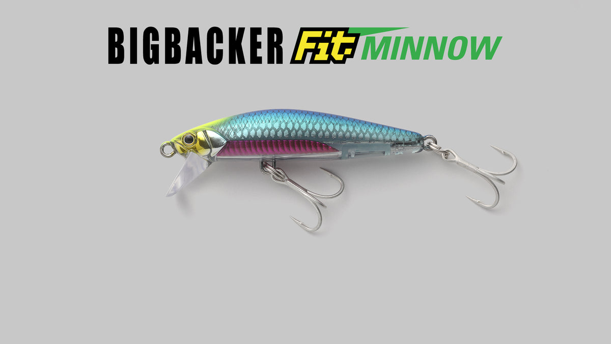 BIGBACKER Fit MINNOW - JACKALL
