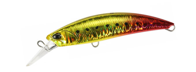 ROUGH TRAIL BLAZIN 85 - DUO