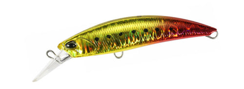 ROUGH TRAIL BLAZIN 85 - DUO