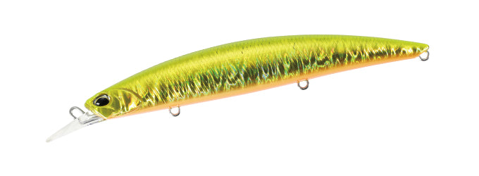 Beach Walker 120MD - DUO