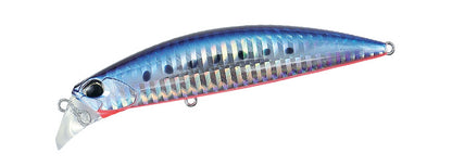 Beach Walker Fulcrum - DUO