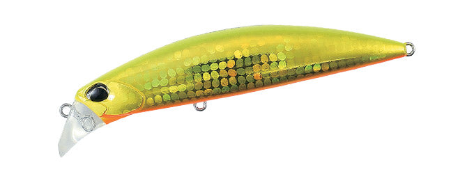 Beach Walker Fulcrum - DUO