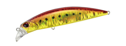 Beach Walker Fulcrum - DUO