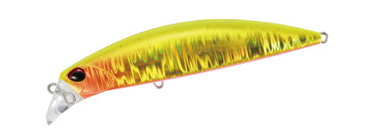 Beach Walker Fulcrum - DUO