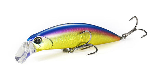 Beach Walker Fulcrum - DUO