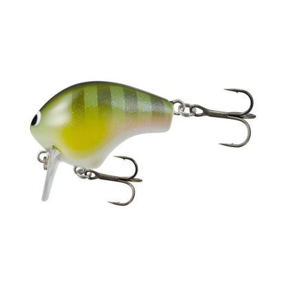 Macbeth 50F Shallow - SHIMANO