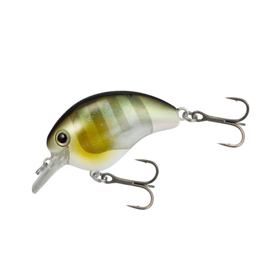 World Rush 56F Flash Boost - SHIMANO