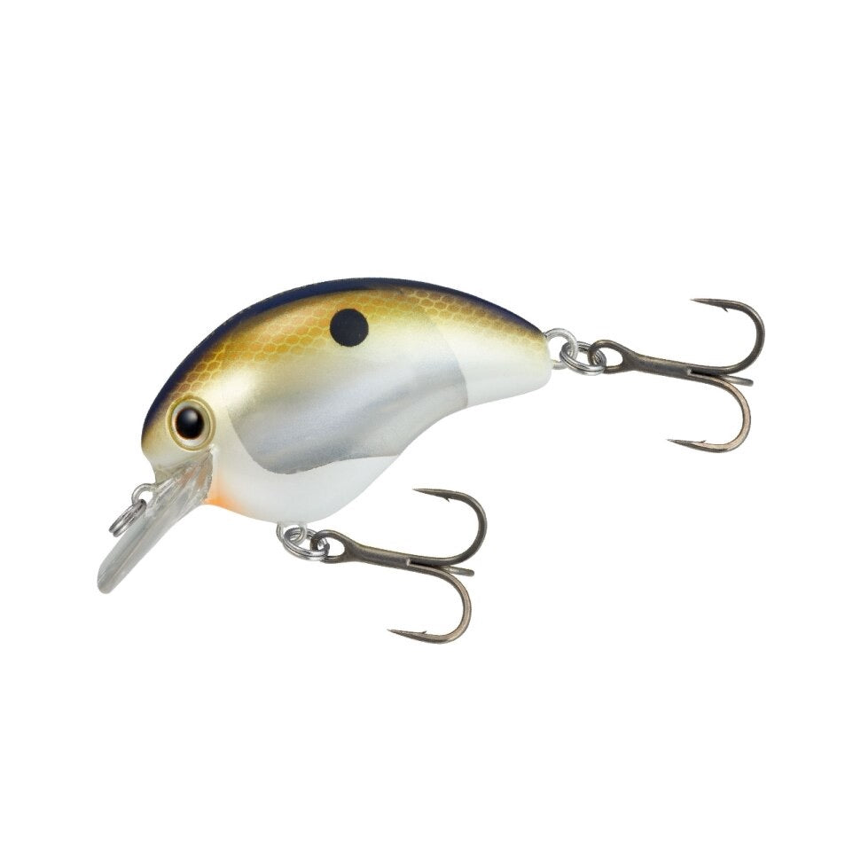 World Rush 56F Flash Boost - SHIMANO