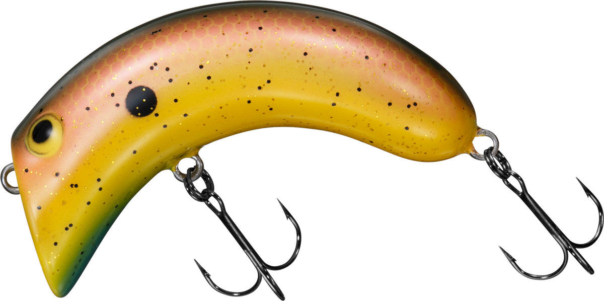 CASHEW NUT - DAIWA