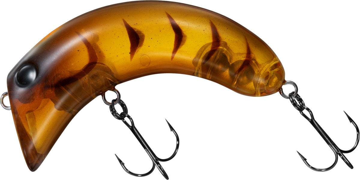 CASHEW NUT - DAIWA