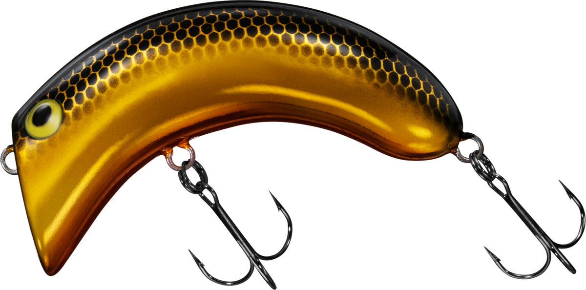 CASHEW NUT - DAIWA