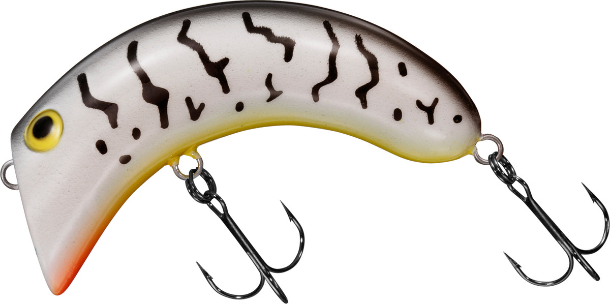 CASHEW NUT - DAIWA