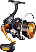 CAST'IZM 25 (19) - DAIWA