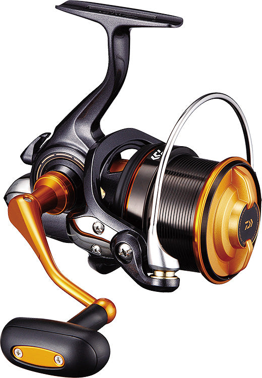 CAST'IZM 25 (19) - DAIWA