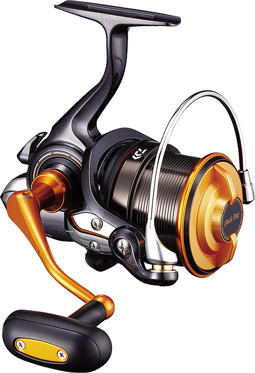 CAST'IZM 25 (19) - DAIWA