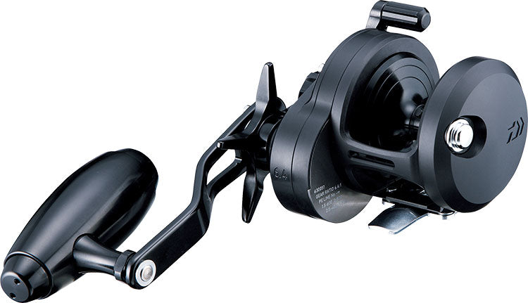 CATALINA (19) - DAIWA