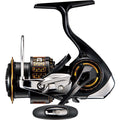 MORETHAN (17) - DAIWA