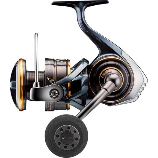 CALDIA SW (22) - DAIWA