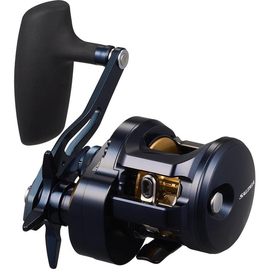 SALTIGA 300 (25) - DAIWA