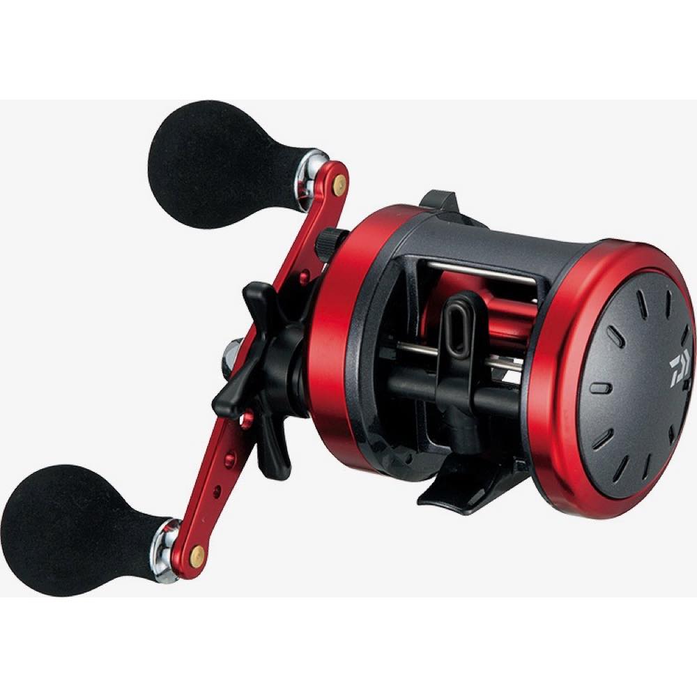 DYNASTAR (17) - DAIWA