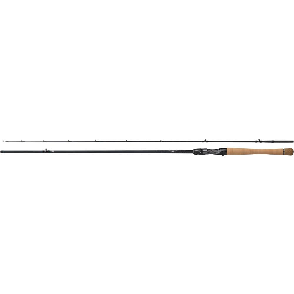 STEEZ (BAITCASTING) - DAIWA