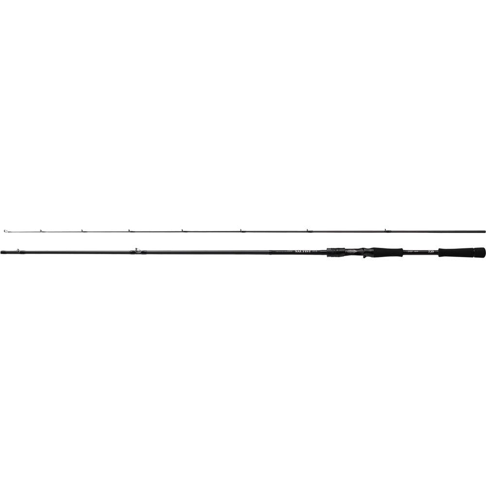 SALTIST - DAIWA