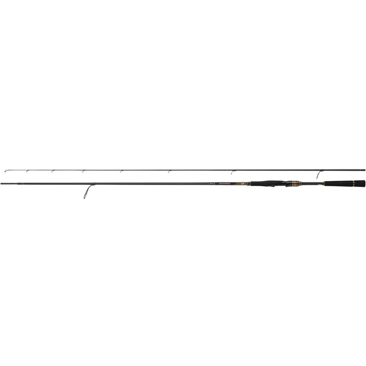 MORETHAN (25) - DAIWA