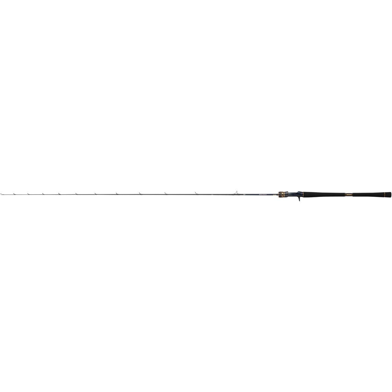 SALTIGA LJ EX (25) - DAIWA