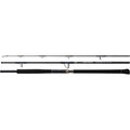 SALTIGA C EXPEDITION (25) - DAIWA