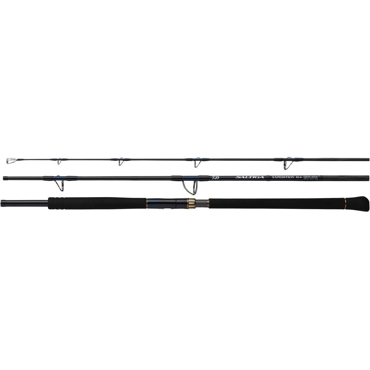 SALTIGA C EXPEDITION (25) - DAIWA