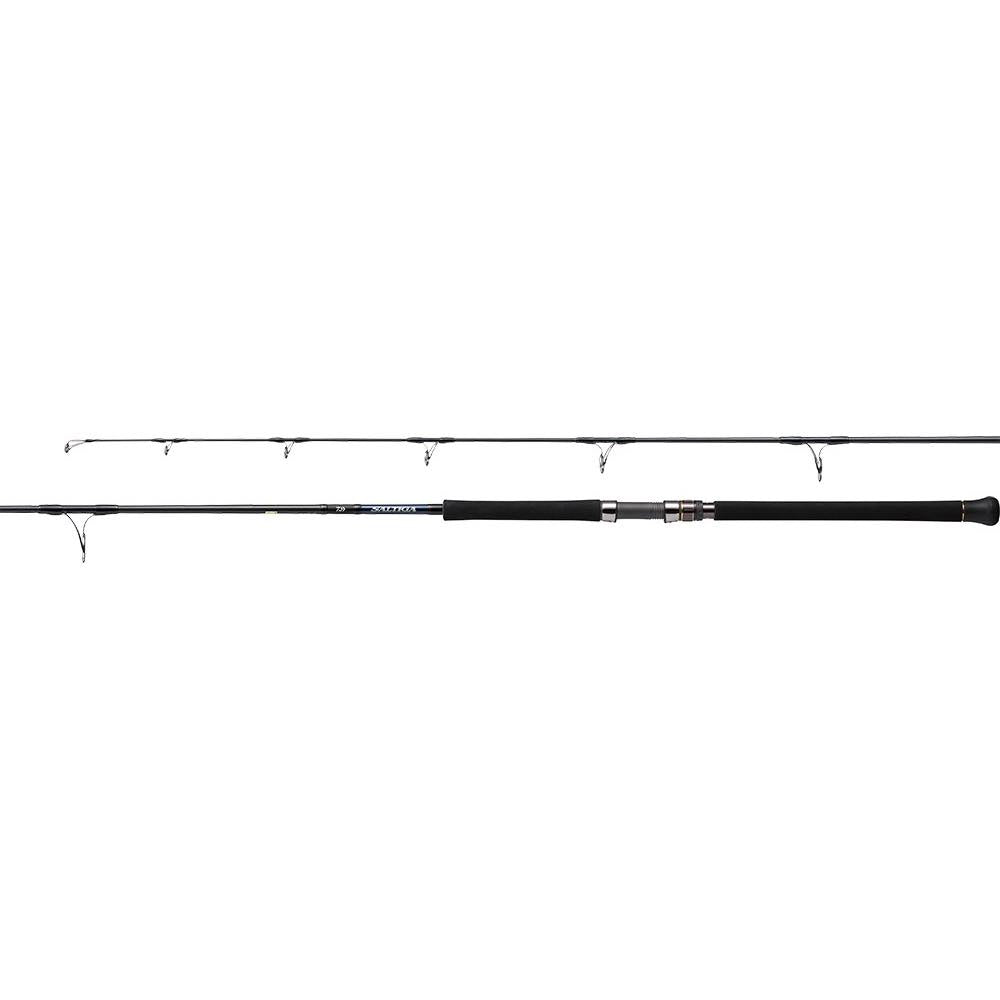 SALTIGA C - DAIWA