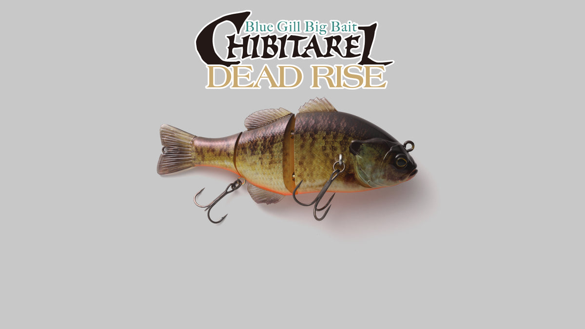 CHIBITAREL DEADRISE - JACKALL