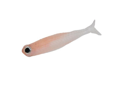 VIROLA MICRO 1.5inch - DSTYLE