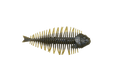 GEELACANTH 5.8inch - DSTYLE