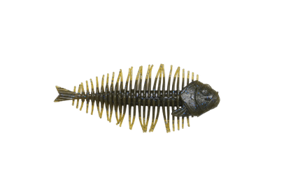 GEELACANTH 5.8inch - DSTYLE